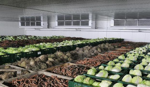 Для продовольчої безпеки України необхідно побудувати близько 140-150 овочесховищ