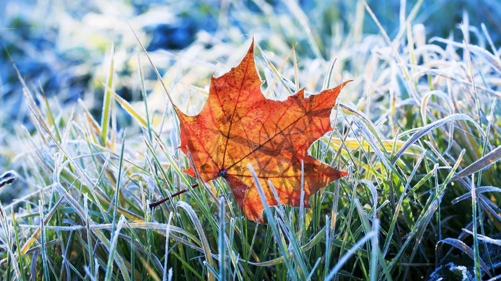 В Украину идет похолодание: синоптики прогнозируют заморозки