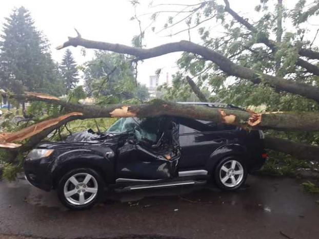 На Львовщине дерево упало на авто: госпитализированы два человека