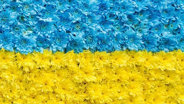 Украинский язык стал одним из самых популярный в Европе 
