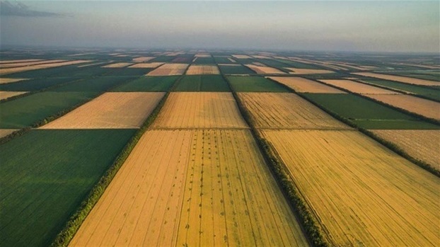 Сельхозпроизводители в Украине могут получить помощь через ДАР