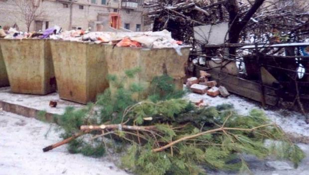 В Красноармейске выброшенные елки коммунальщики используют повторно