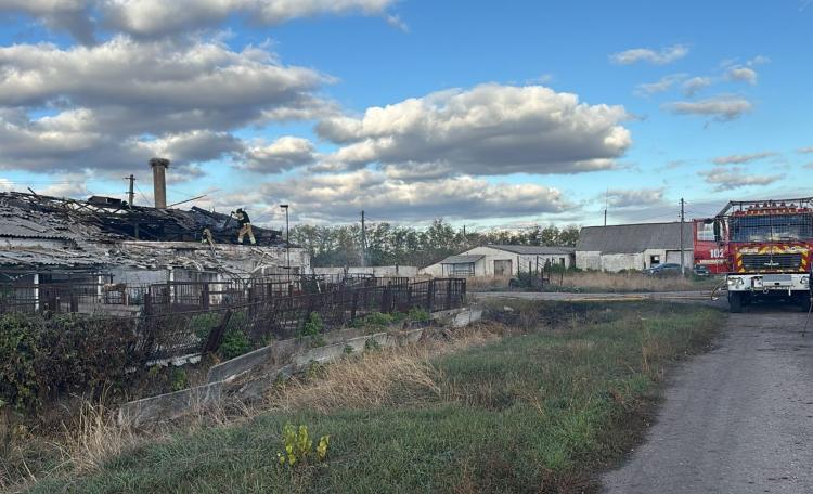 Через обстріл ферми на Донеччині загинули тварини