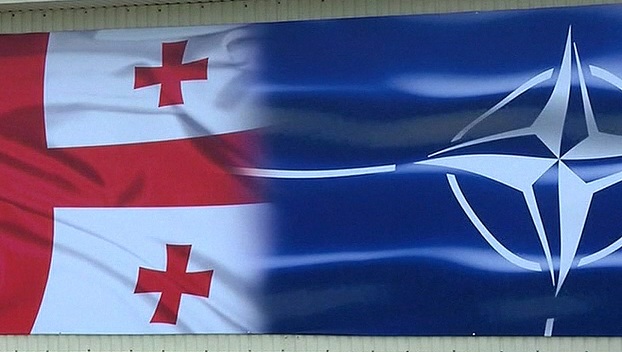 Для Грузии возможно ускоренное вступление в НАТО