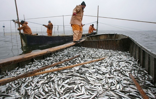 Украина и РФ подписали договор, регулирующий вылов рыбы в Азовском море