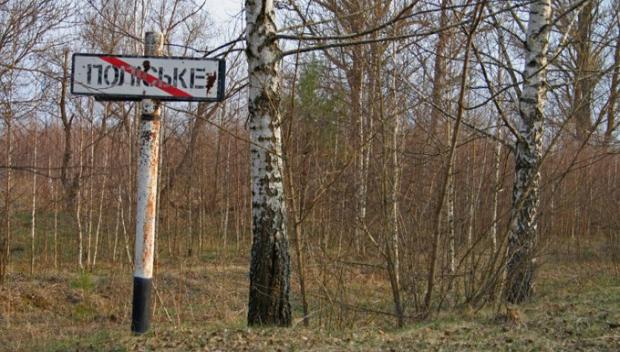 В Чернобыльской зоне официально хотят сделать заповедник