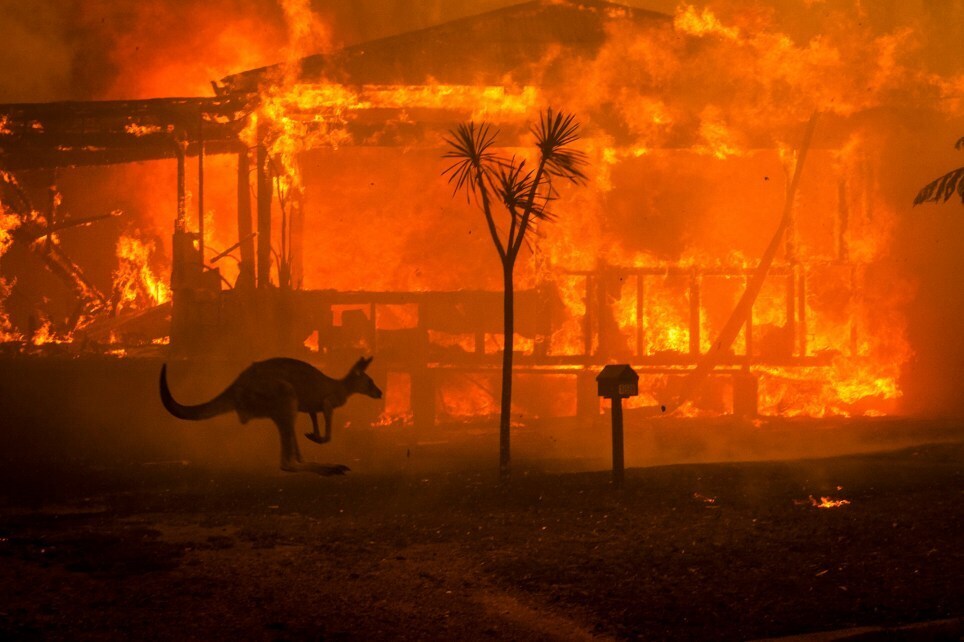 Пожары в Австралии замкнулись в заколдованный круг и уже сами формируют погоду