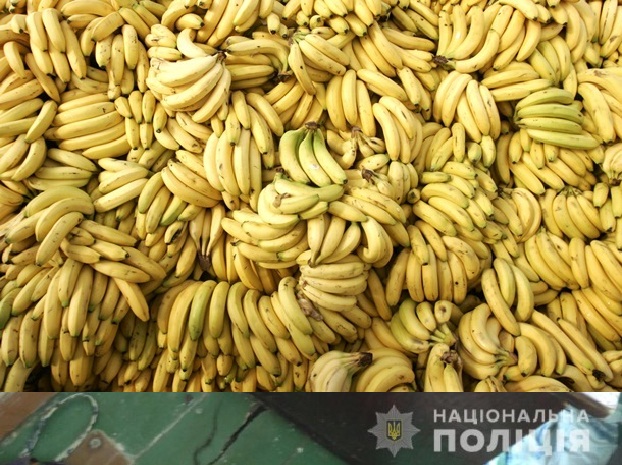 В Нидерландах обнаружено полторы тонны кокаина в грузе с бананами