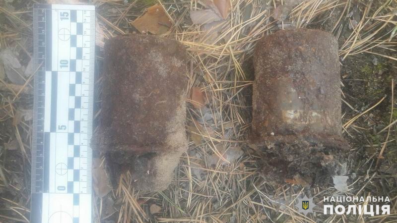 В Лиманском районе мужчина пошел за грибами, а нашел боеприпасы времен Второй мировой