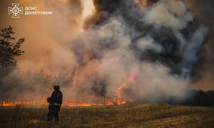 В Краматорском районе ликвидировали масштабный лесной пожар