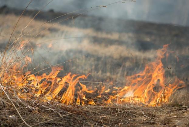 На Донбассе объявлен наивысший уровень пожарной опасности