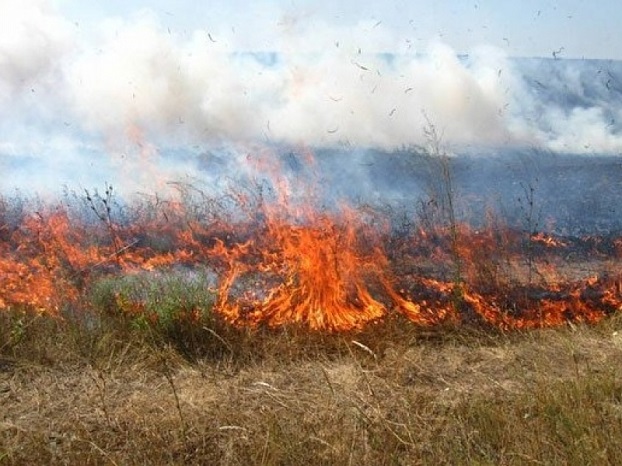 В Донецкой области горят степи и камыш