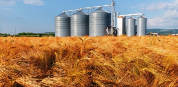 В Аграрном фонде подозревают, что у них украли зерно на 200 млн гривень