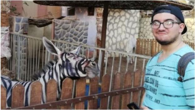 В египетском зоопарке покрасили осла и выдавали его за зебру