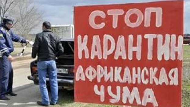 Молдова закрыла границы для украинской свинины 