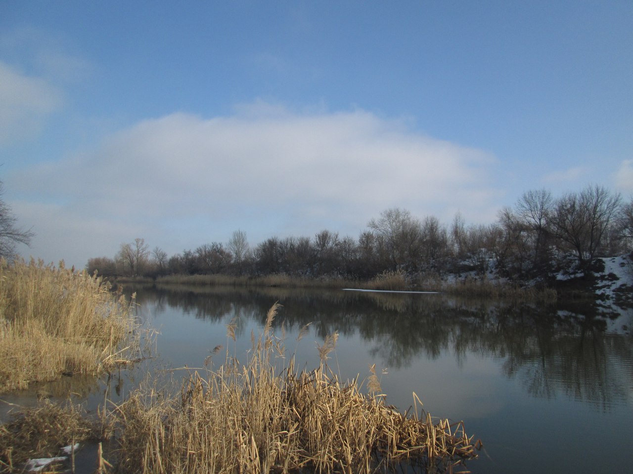 солнечный зимний день у реки Донбасс
