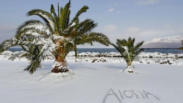 «Алоха»: мощный зимний шторм достиг берегов Гавайев