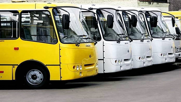 городские автобусы