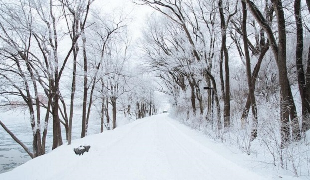По прогнозу синоптиков, ноябрь  в Украине будет снежным и морозным