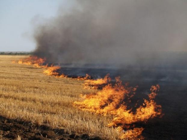 В Харьковской области пожар уничтожил 23 га зерна 