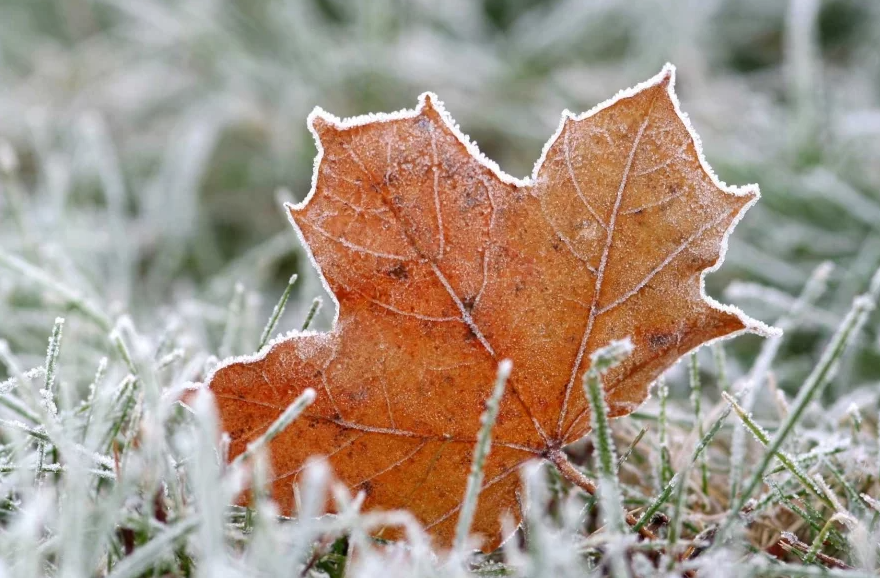 Три дня подряд: В Донецкой и других областях ожидаются заморозки