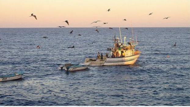 С начала октября из Азовского моря браконьеры выловили больше 6 тонн рыбы