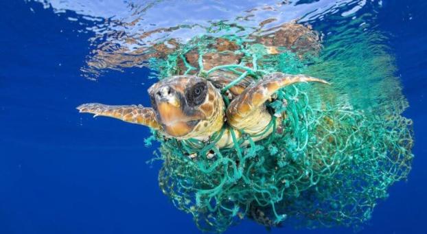 В Мировой океан ежегодно попадает около 12 миллионов тонн пластика