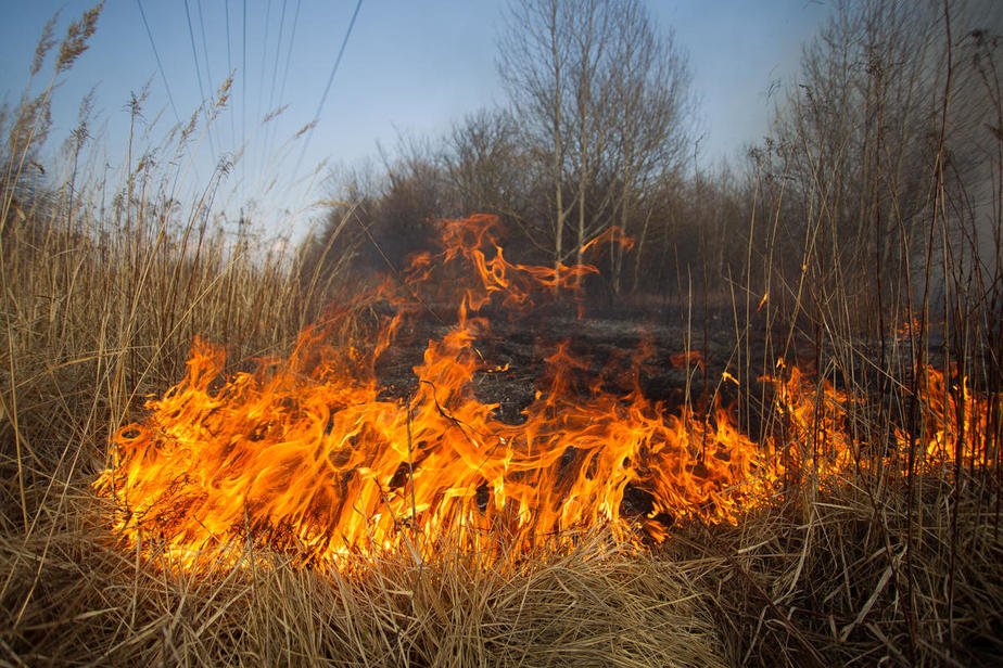 На востоке Украины предупреждают о чрезвычайном уровне пожарной опасности