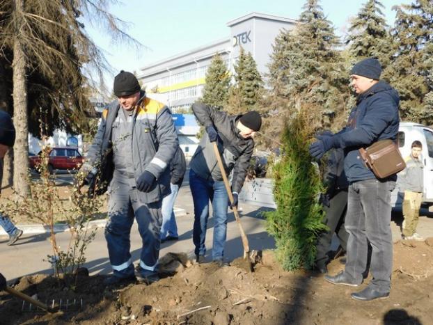 В Курахово провели мероприятия по озеленению города
