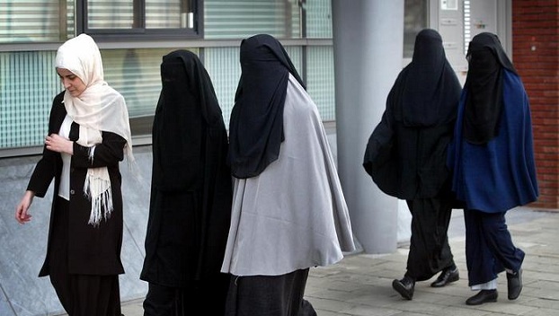 В Дании запретили носить никаб и бурку 