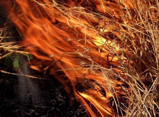 Житель Мариуполя отравился угарным газом при тушении загоревшейся травы