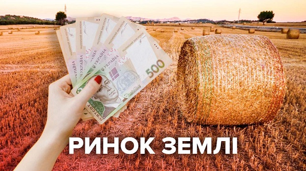 Со дня открытия рынка земли в Украине продано более 1 100 участков: Названы лидеры