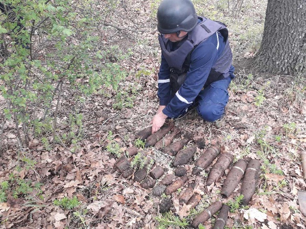 В Славянском районе пиротехники уничтожили 24 боеприпаса