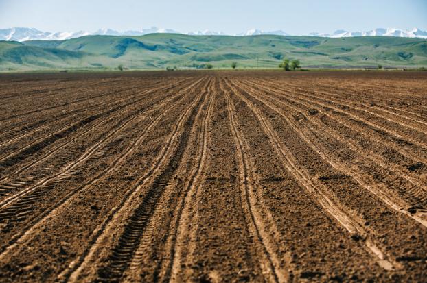 Из-за проблем с документами фермер на Луганщине потерял землю