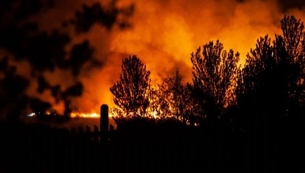 В России произошел масштабный лесной пожар 