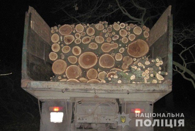 В Добропольском районе четверо мужчин спилили 19 деревьев