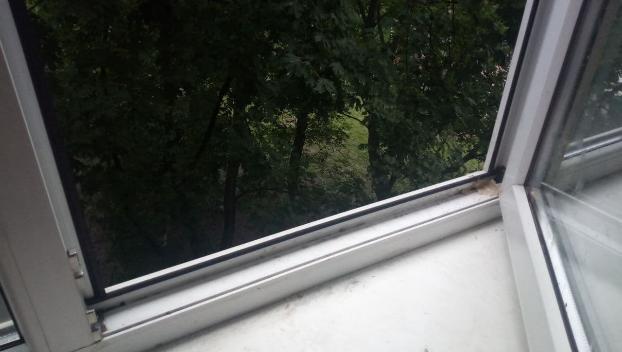 Из окна в Краматорске выпал ребенок, его братика избил нетрезвый отец