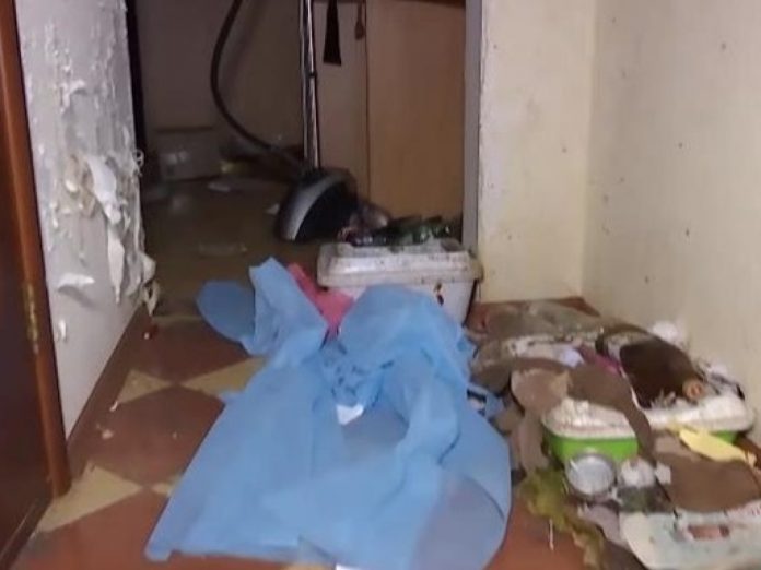 Запертая квартира в Киева стала тюрьмой для четырех десятка котов и собаки