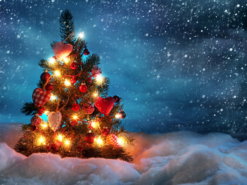 Какие праздники отмечают 13 декабря в мире