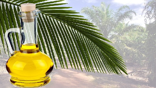 Импорт пальмового масла в Украине увеличивается 