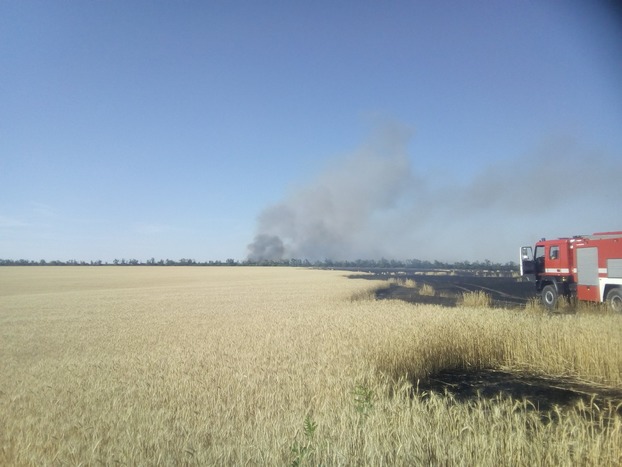 В Донецкой области пожар уничтожил урожай пшеницы и ячменя