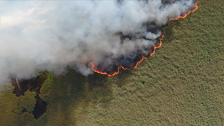 В России увеличилась площадь горящих лесов