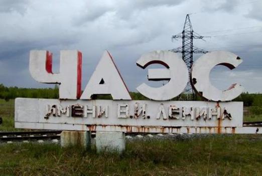 В Чернобыльской зоне могут создать особенный заповедник