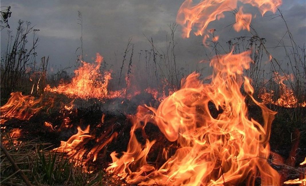 Масштабное возгорание между Константиновкой и Дружковкой: Пожар тушили несколько часов