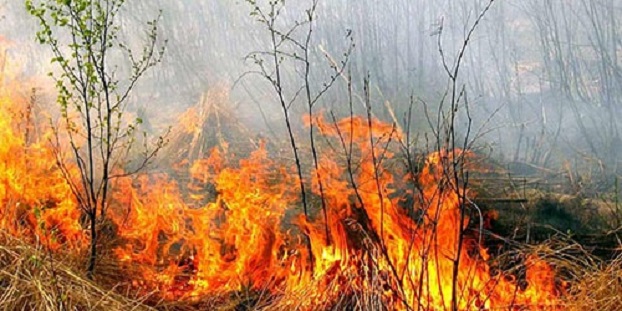 В Константиновском районе число пожаров возросло в три раза
