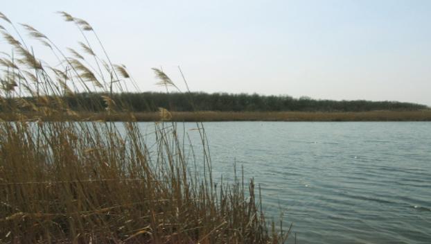 Смерть на воде: 10-летний ребенок  утонул в Славянском районе