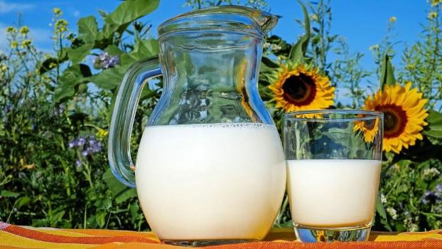 Появился новый прогноз по ценам на молочные продукты