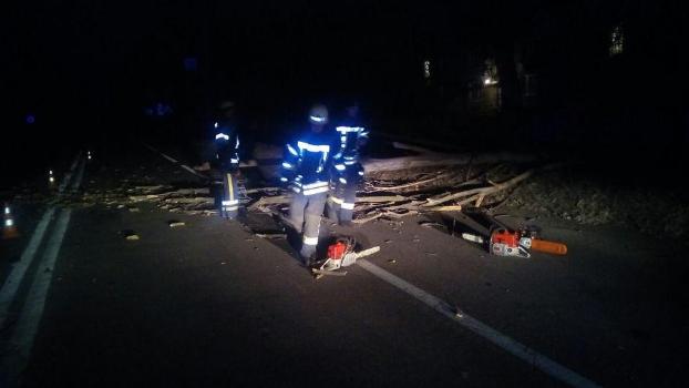 Упавшее дерево перекрыло трассу и оборвало провода в Дружковке