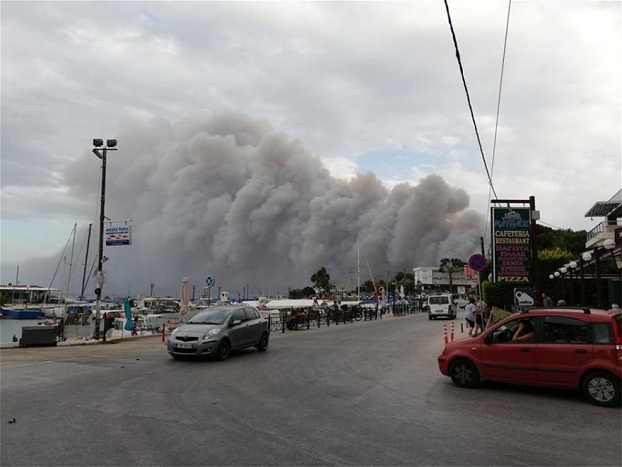 Жертвами масштабного лесного пожара в Греции стали 74 человека