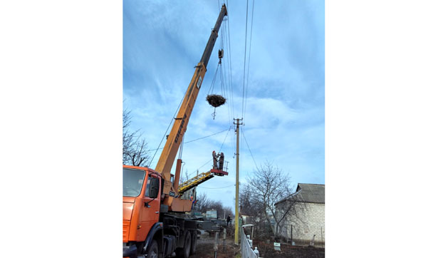 Энергетики ДТЭК устанавливают безопасные опоры с гнездами для аистов в Донецкой области